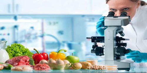 Gıda Güvenliği Nedir?